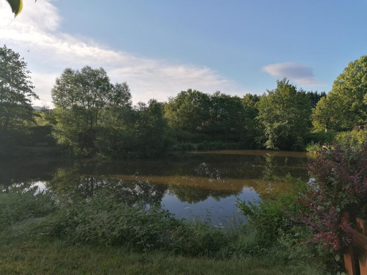 Le Domaine De Shania Provenchères-sur-Fave Buitenkant foto