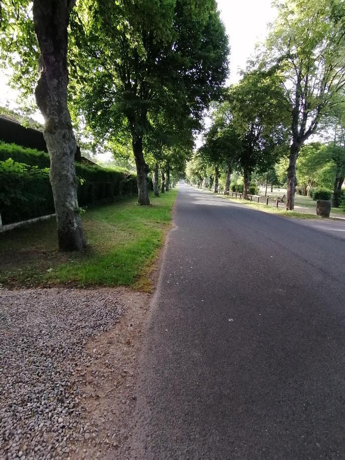 Le Domaine De Shania Provenchères-sur-Fave Buitenkant foto