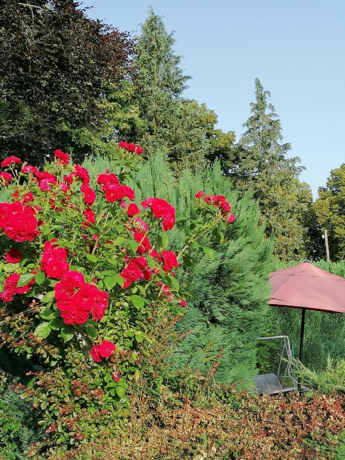 Le Domaine De Shania Provenchères-sur-Fave Buitenkant foto