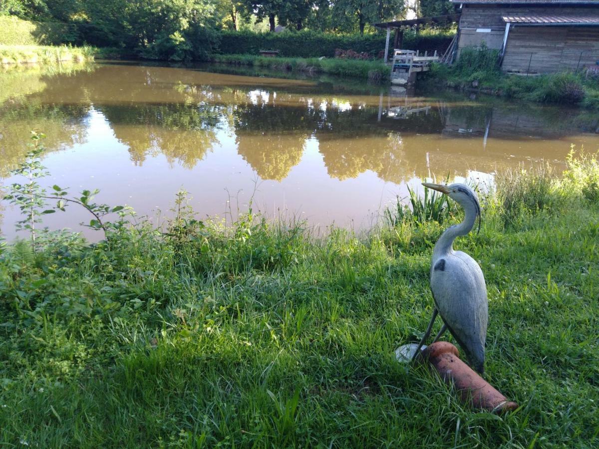 Le Domaine De Shania Provenchères-sur-Fave Buitenkant foto