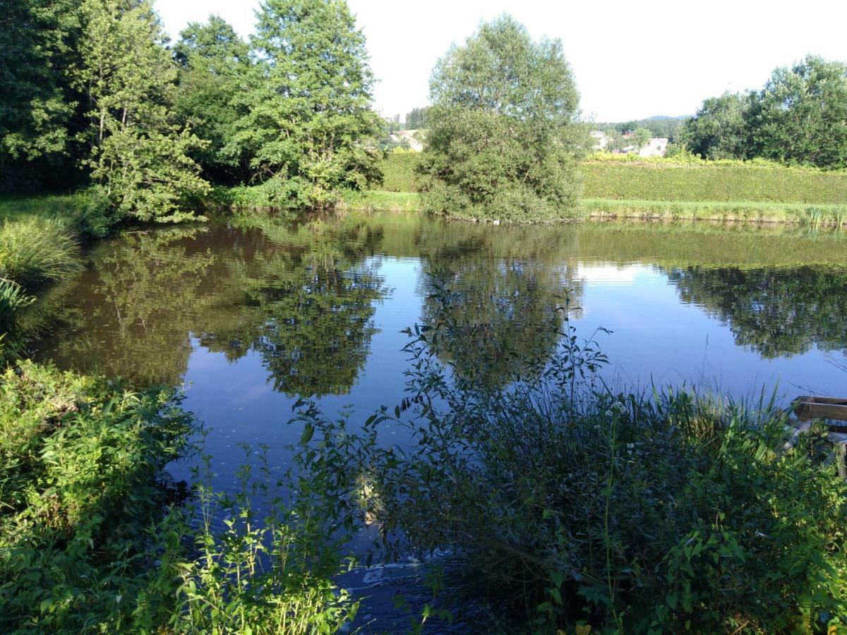 Le Domaine De Shania Provenchères-sur-Fave Buitenkant foto
